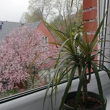 Pod Semaforem Duszniki-zdroj Lägenhet Duszniki Zdrój