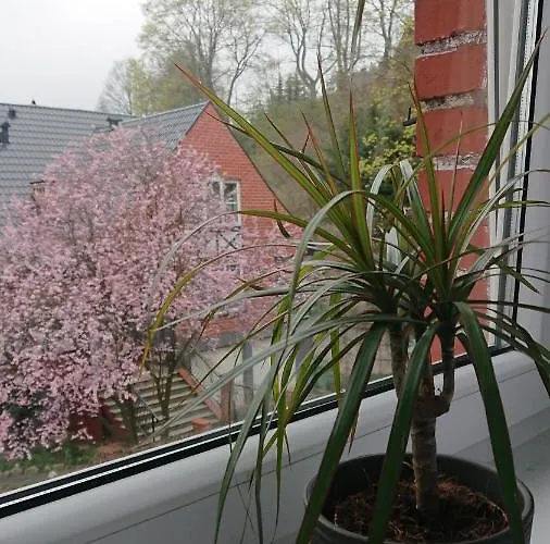 Pod Semaforem Duszniki-zdroj Appartamento Duszniki Zdrój